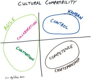 Culture Compatibility